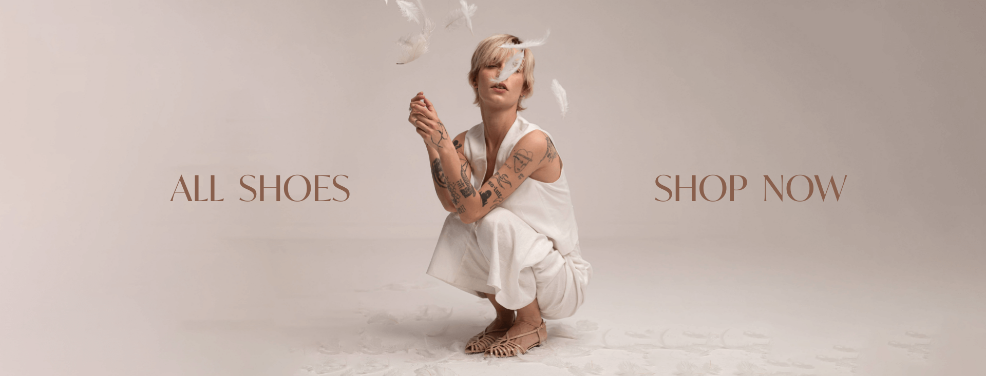 All Shoes Desktop Banner