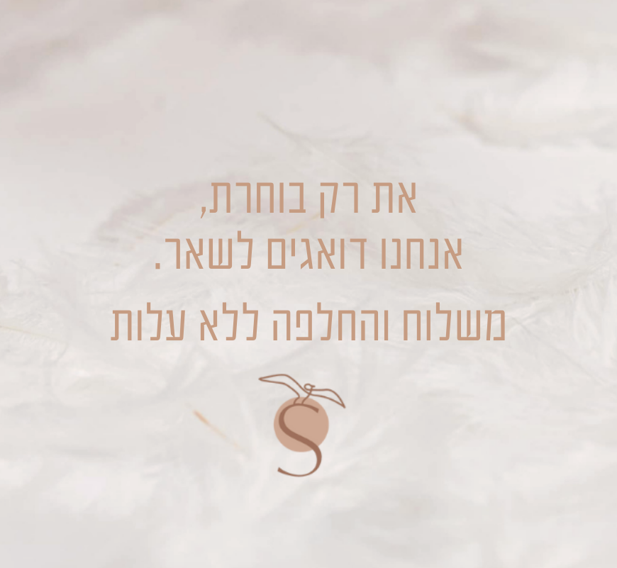 באנר משלוח דסקטופ 1