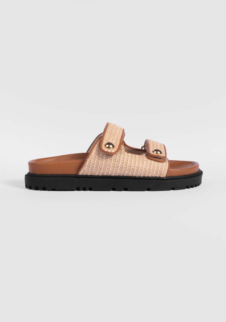 Maui Camelo (2)