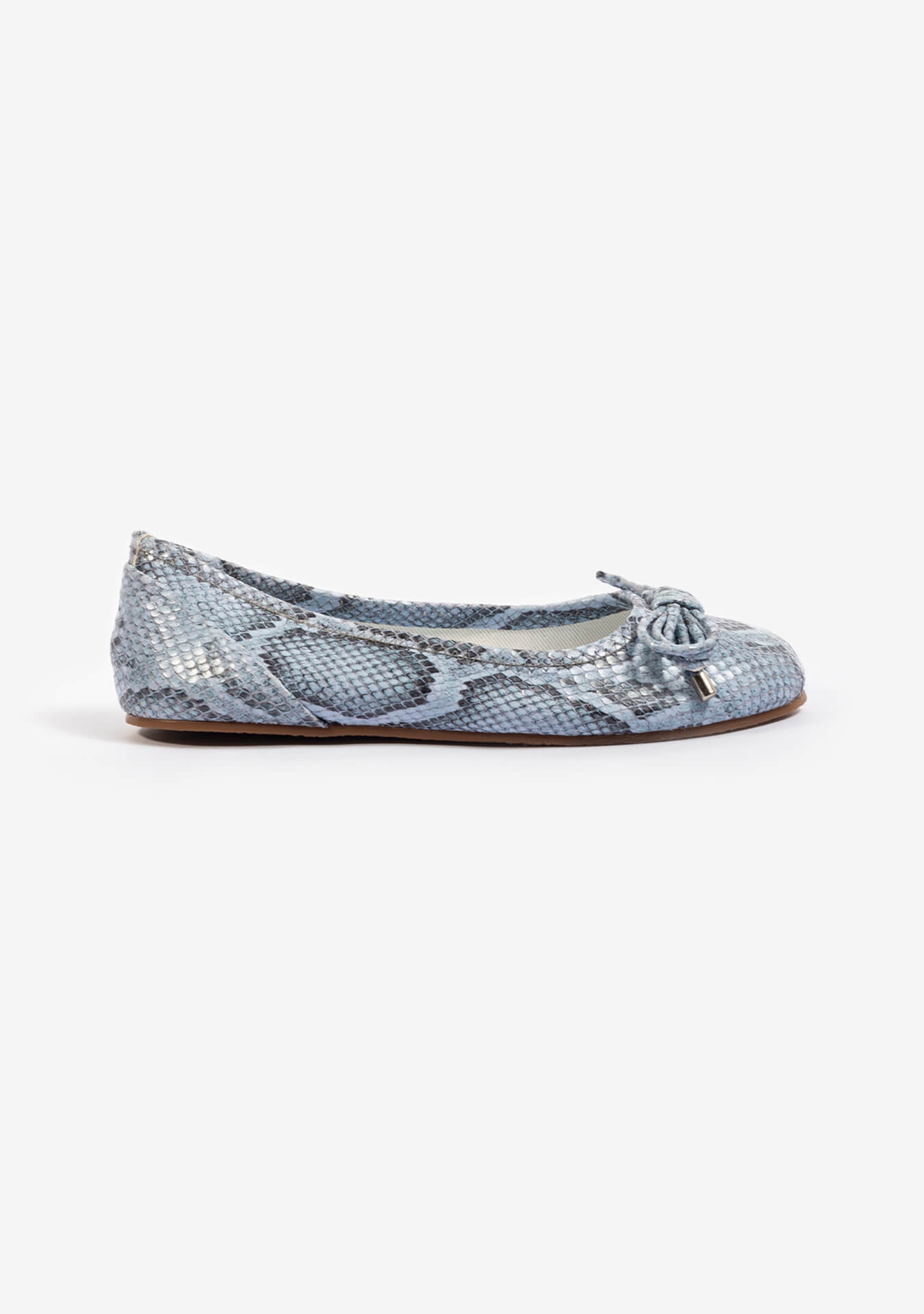Rosalia Python Blue Rosalia Python Blue
